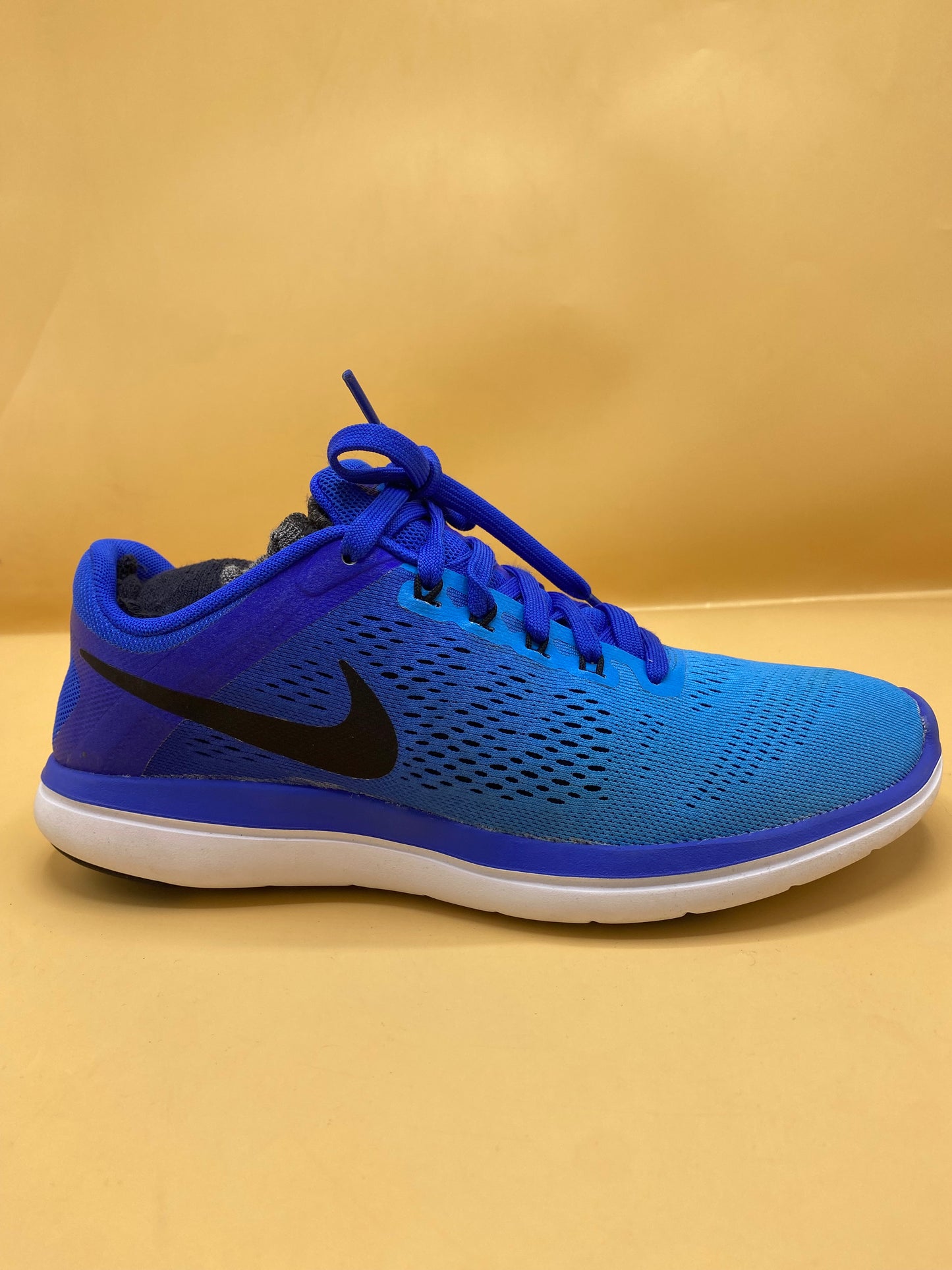 Nike Flex Blue Running Shoes