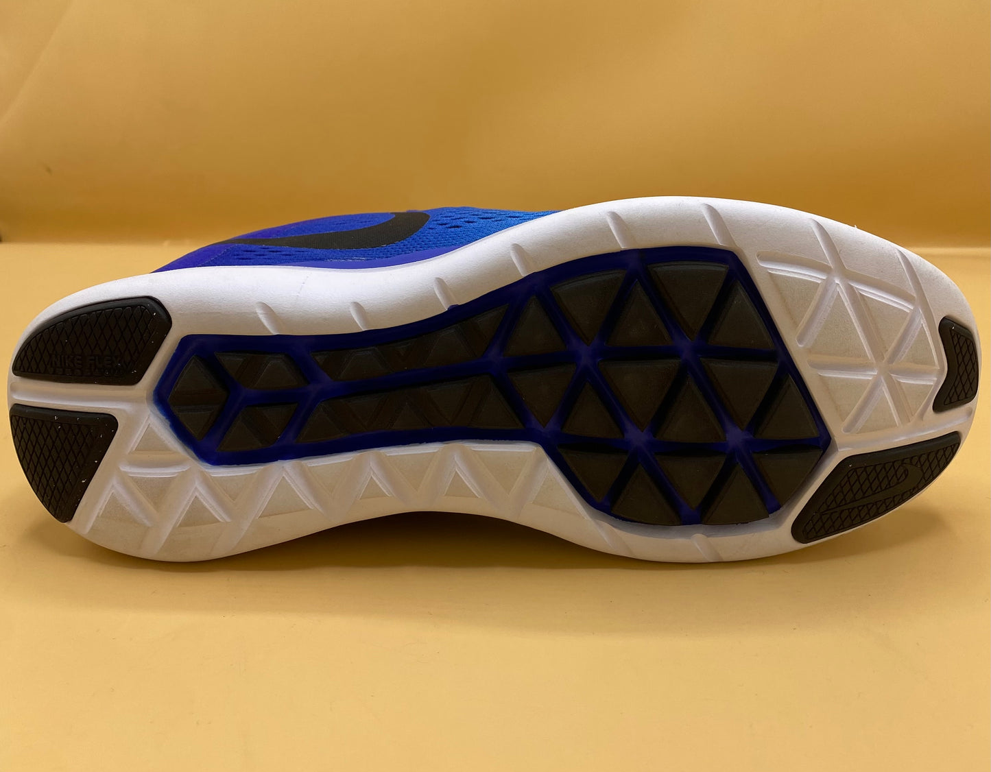 Nike Flex Blue Running Shoes