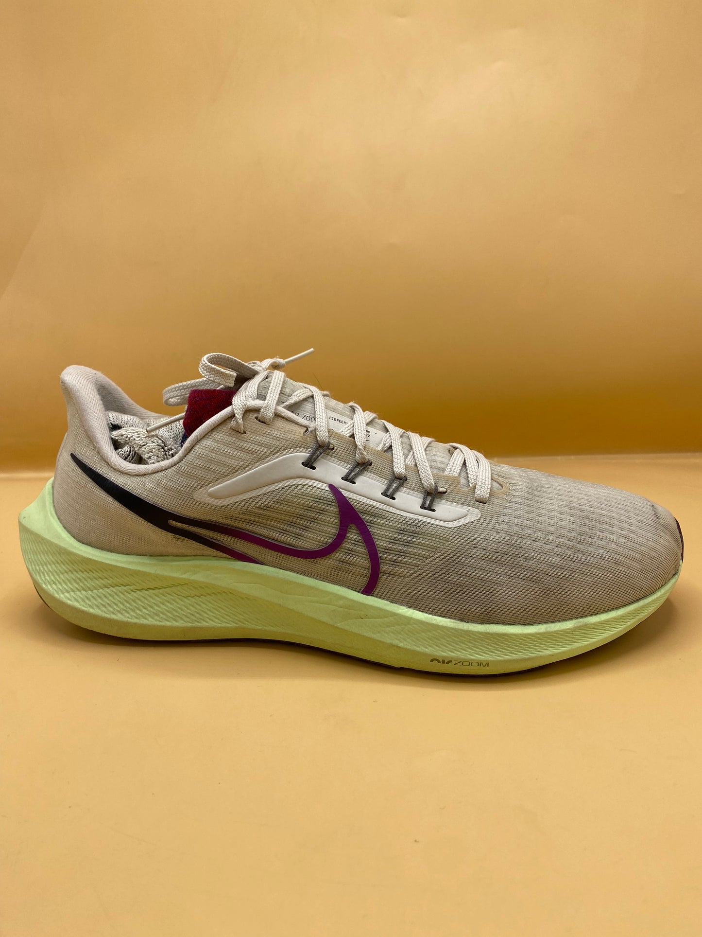 Nike Men Air Zoom Pegasus 39